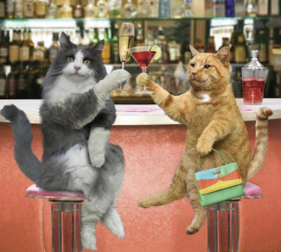 ¡Salud!