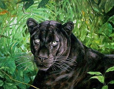 Leopardo melánico