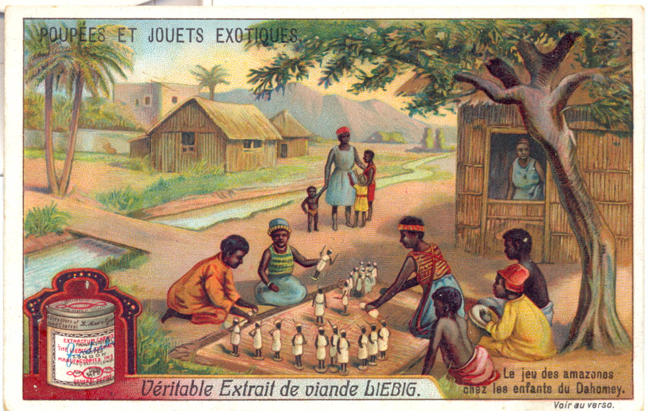 amazon of dahomey