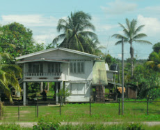 Traditional Homes in Guyana