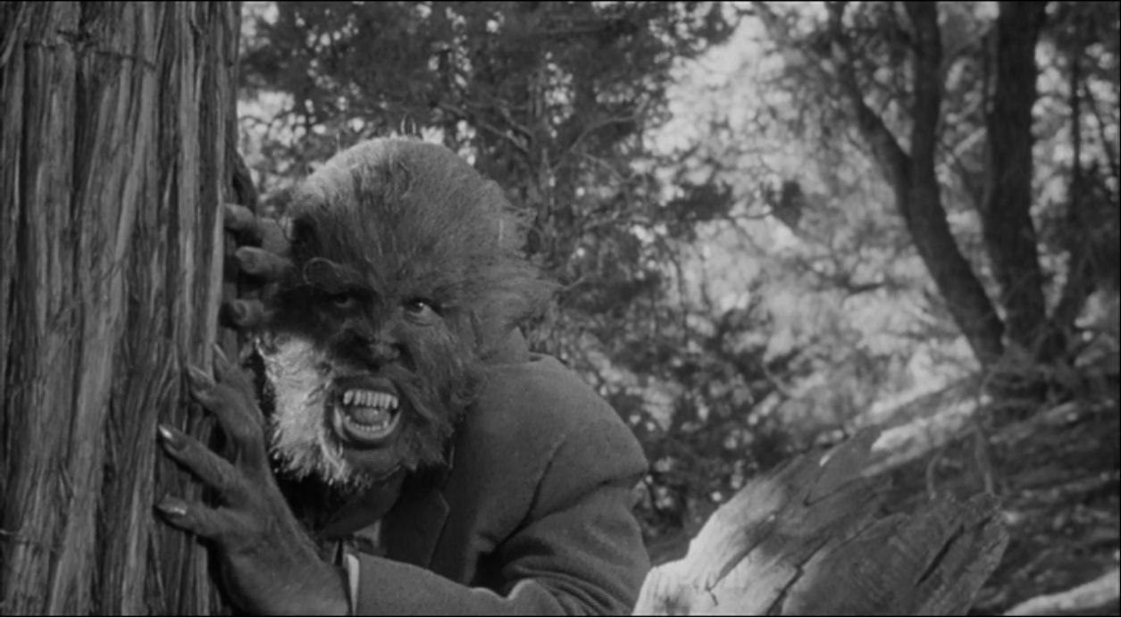 [thewerewolf16.jpg]