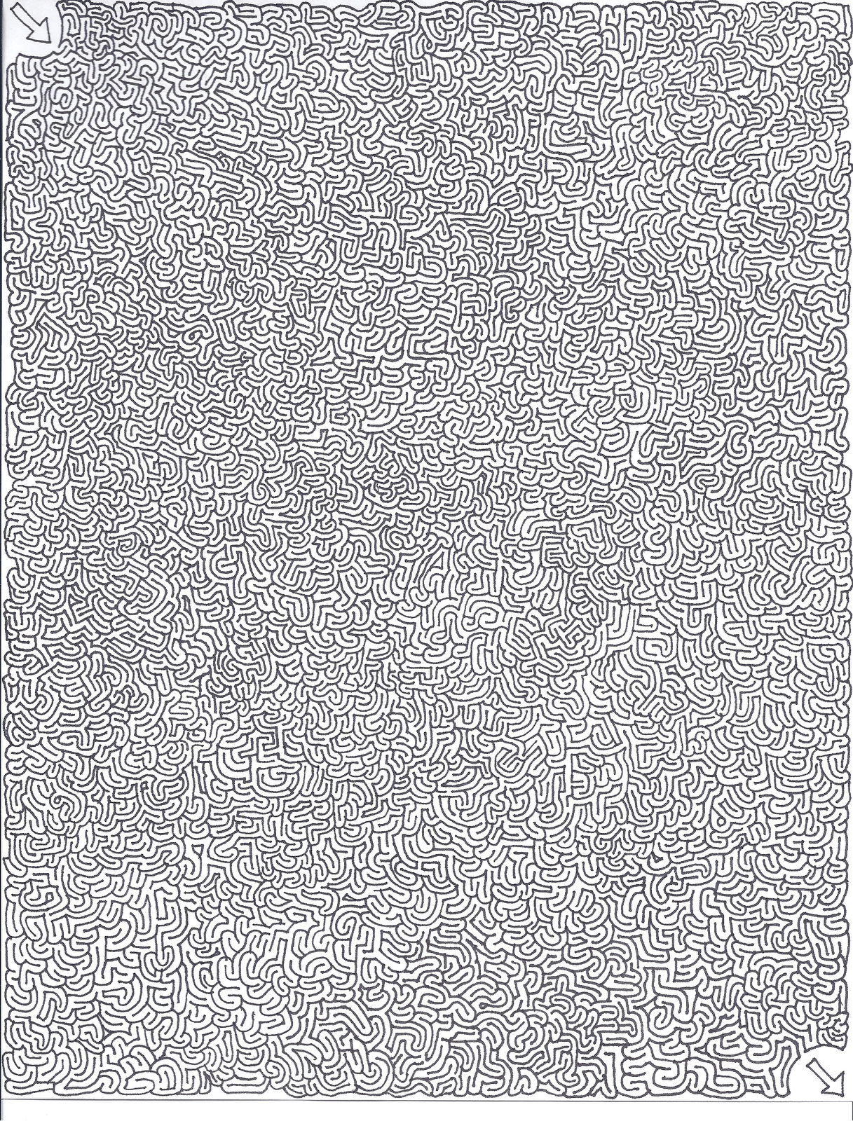 [image loading]
