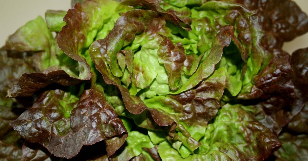 To Market, To Market with San Diego Foodstuff Spring Greens Novelty