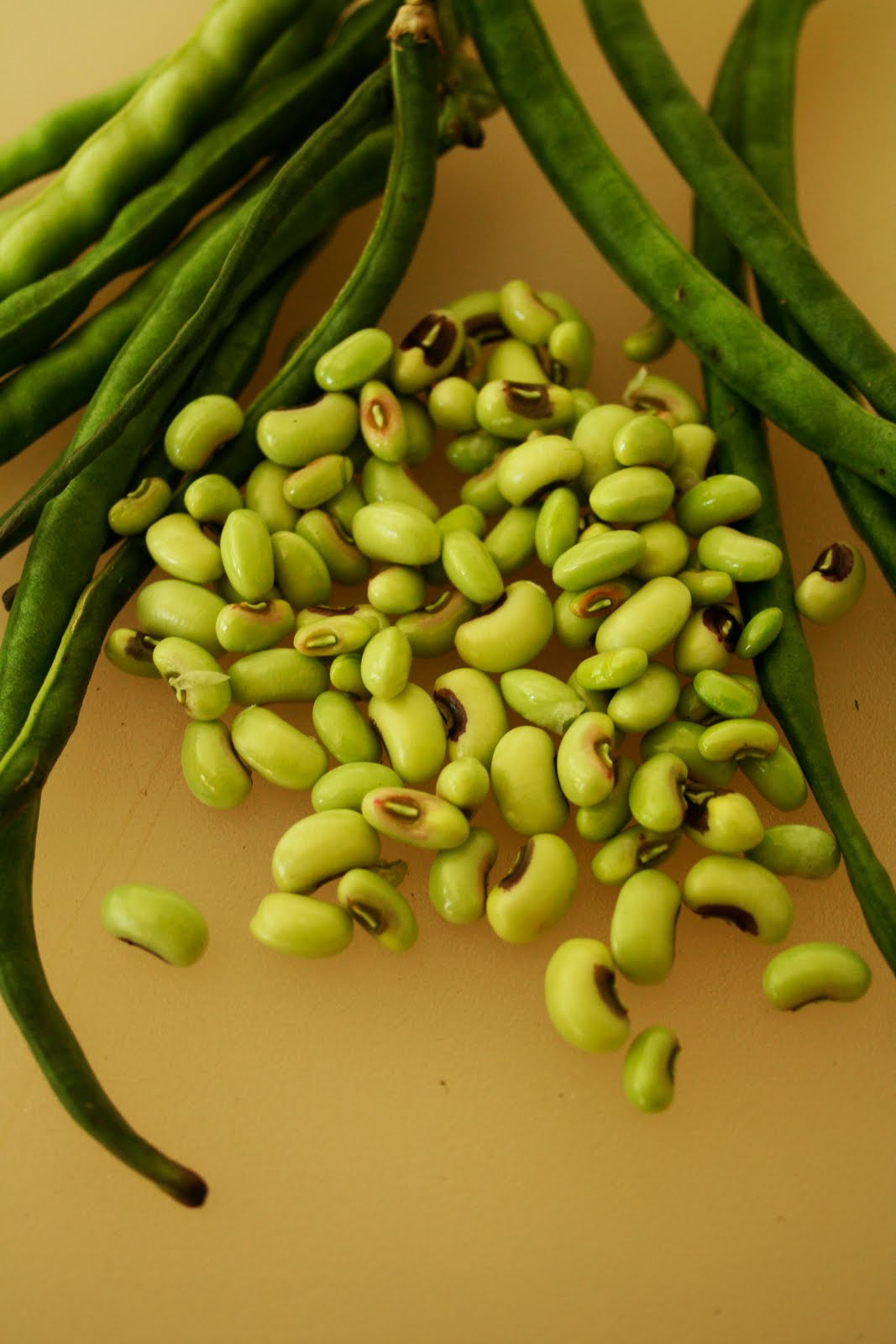 Fest herbs greens week summer beans peas ones mature ll still go To Market, To Market with San Diego Foodstuff: Summer Fest 2010: Week 3 – Herbs, Greens, and Beans