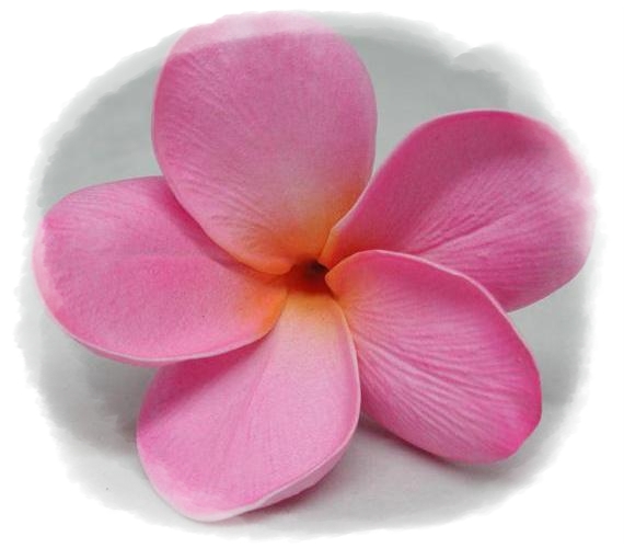 Artificial Wedding Flowers and Bouquets Australia Frangipani Special