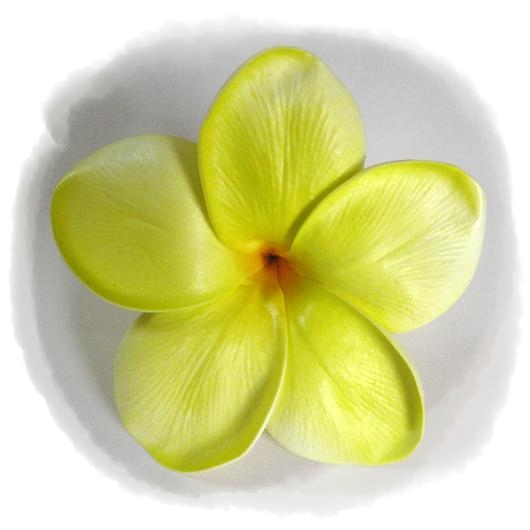 Artificial Wedding Flowers and Bouquets Australia Frangipani Special