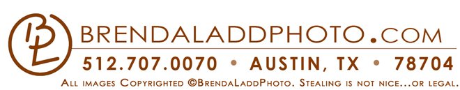 brendaladdphoto