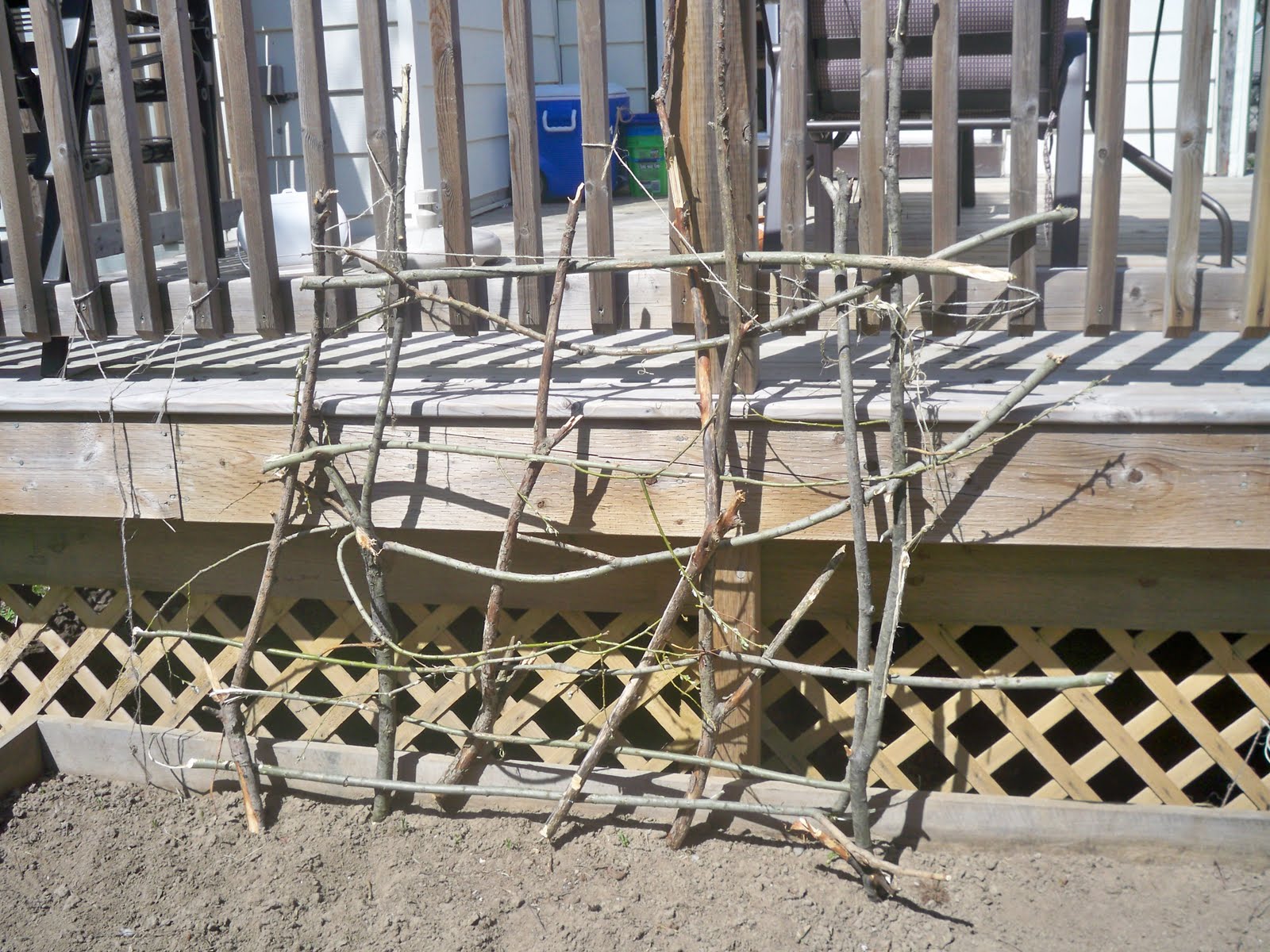 Stitches In Time How To Build A Rustic Twig Trellis