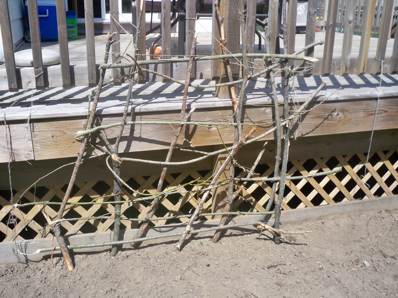Stitches In Time How To Build A Rustic Twig Trellis