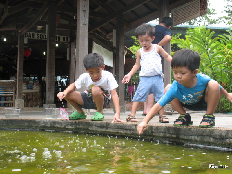 SengkangBabies Qian Hu 仟湖 fish farm Long Kang (drain) fish