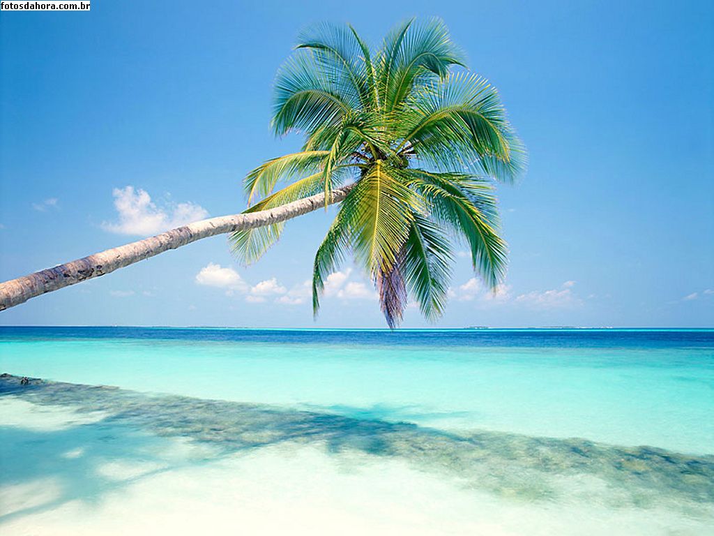 Ilhas maldivas - Caribe
