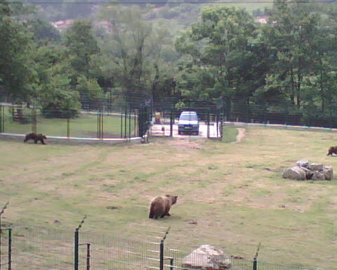 [paca+y+tola+mayo+19++2009+125.jpg]