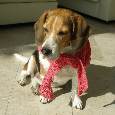 The Knitting Blog by Mr. Puffy the Dog: A Traditional Christmas