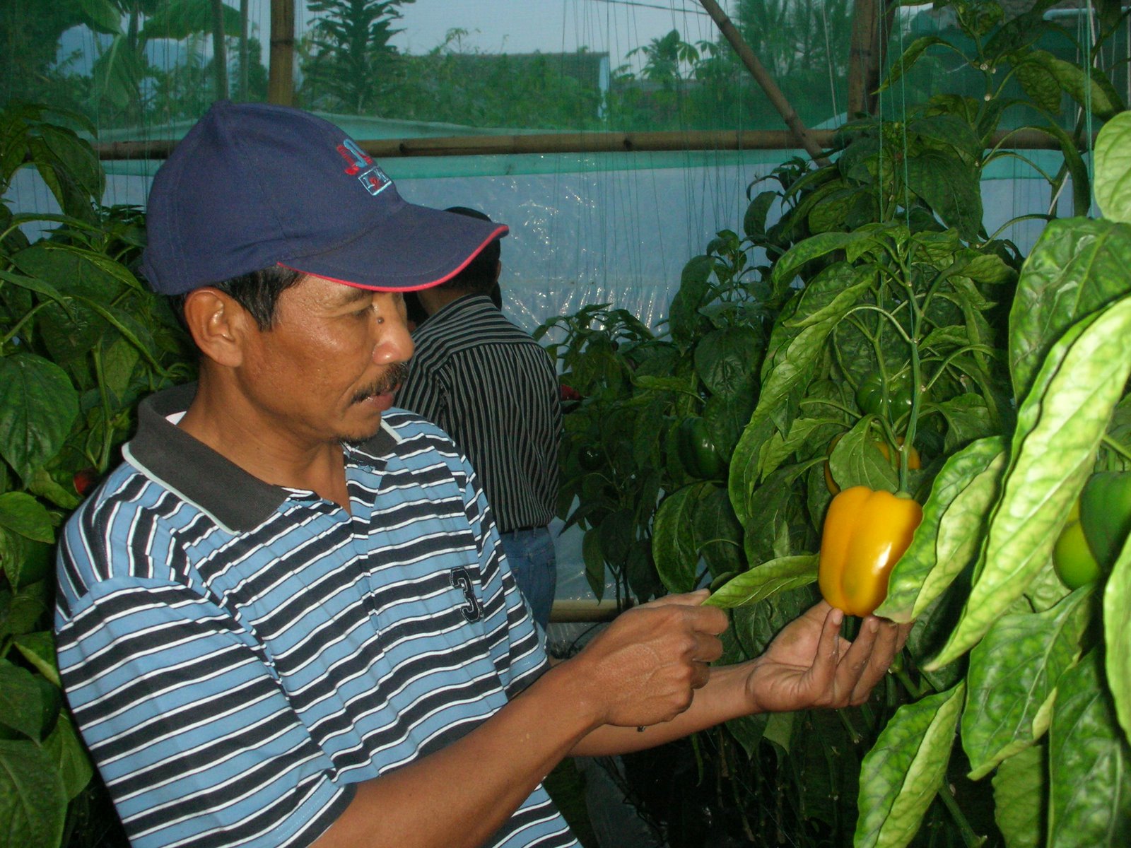 [dscn0515.jpg]