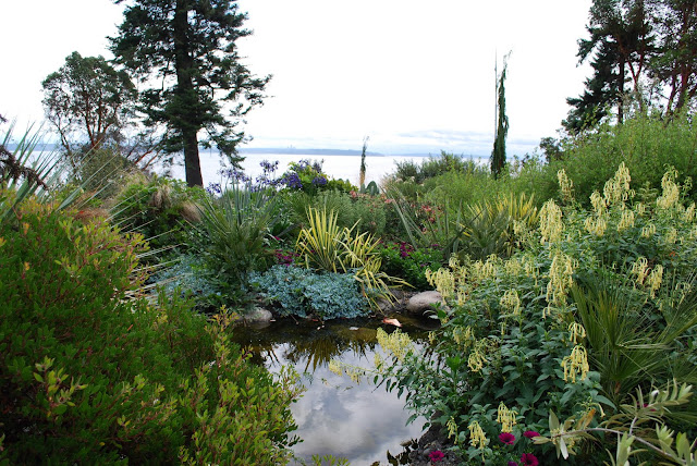 The Intercontinental Gardener: Dan Hinkley's garden at Windcliff