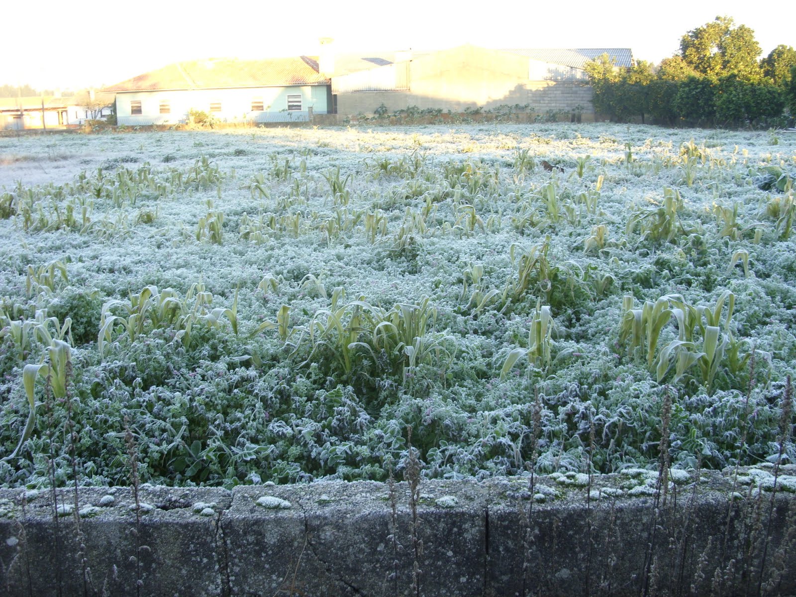 [SDC11573.JPG]