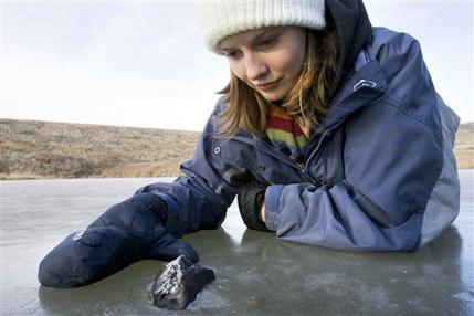 [ca-meteorite.jpg]