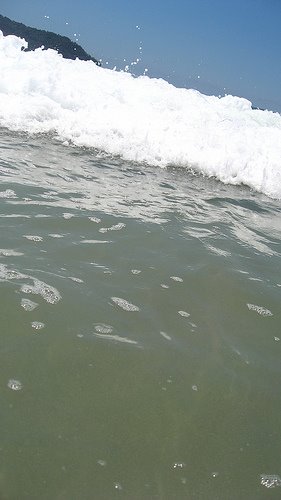 [2164742618_8f4d5da80f.jpg]