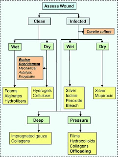 Wound Care Chart