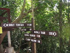Trail Signpost