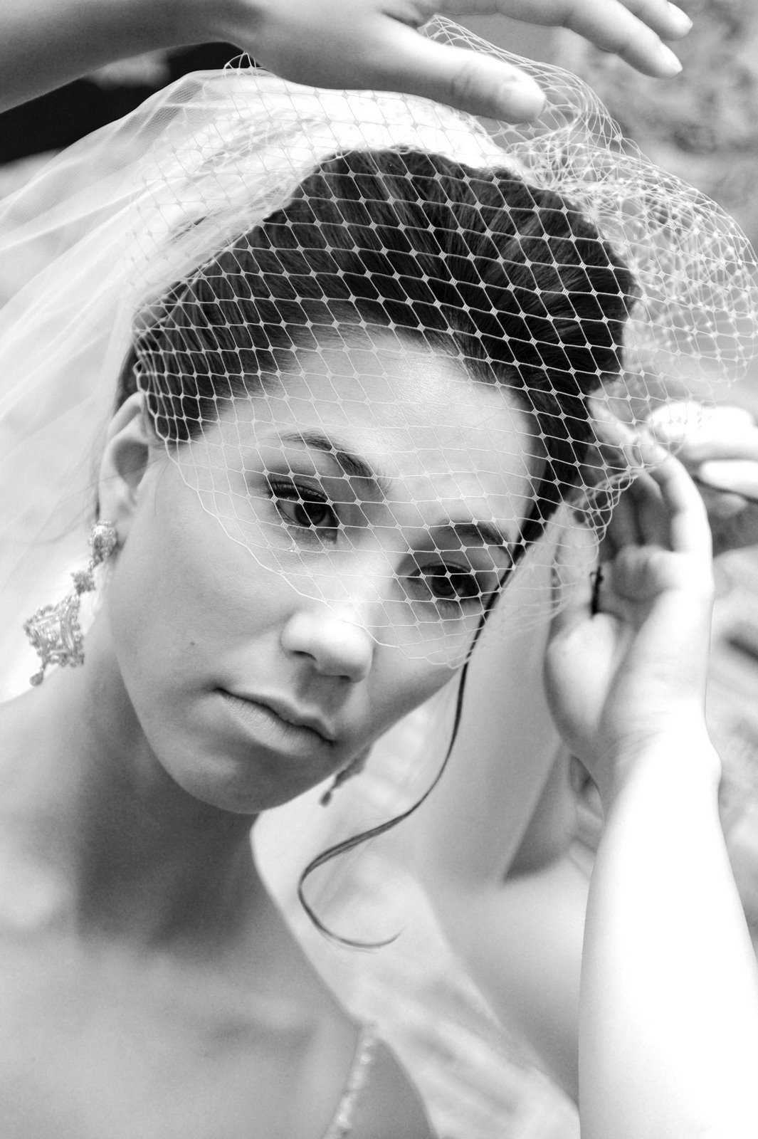 [julieblogDSC_0345.jpg]