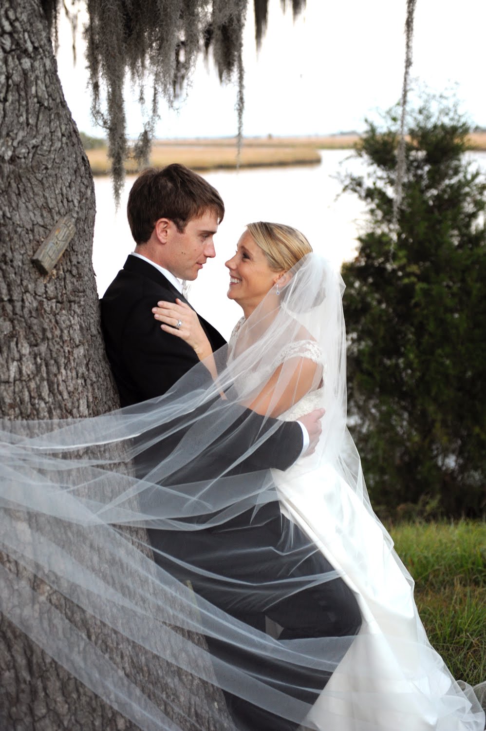 [blogbetsyDSC_0445.jpg]