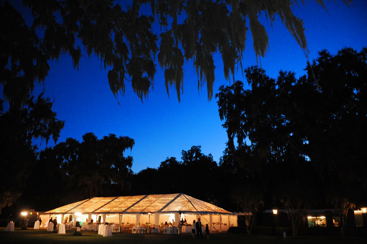 [blogbetsyDSC_0706.jpg]