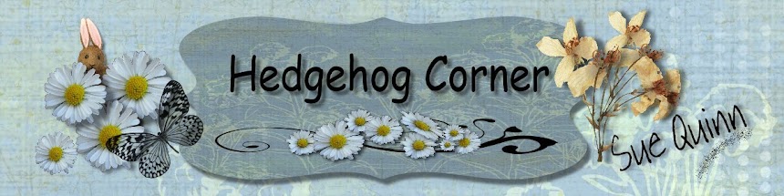 Hedgehog Corner
