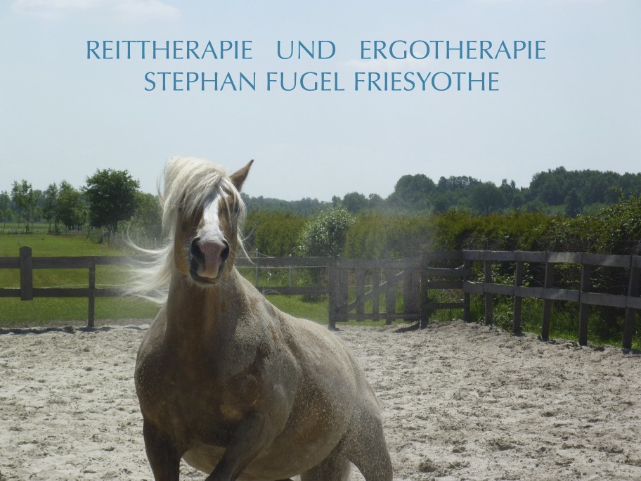 Reittherapie  Ergotherapie               Stephan Fugel