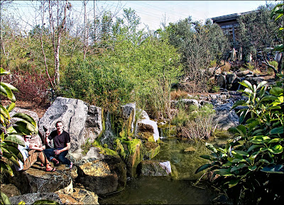 Stone Brewery Gardens