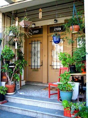 decorate with plants