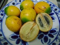 Abiu - pouteria caimito