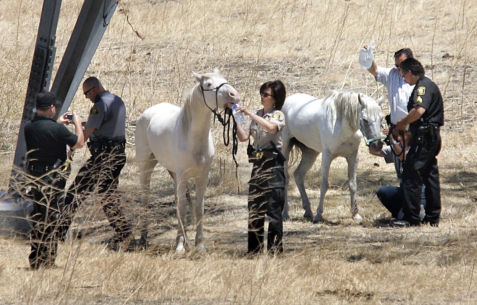 Snapshots Died of thirst