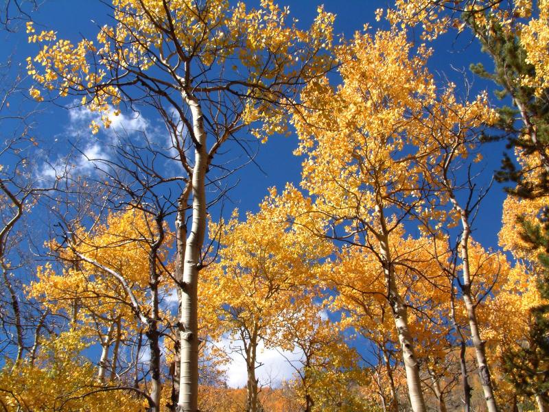 [automne0014.jpg]