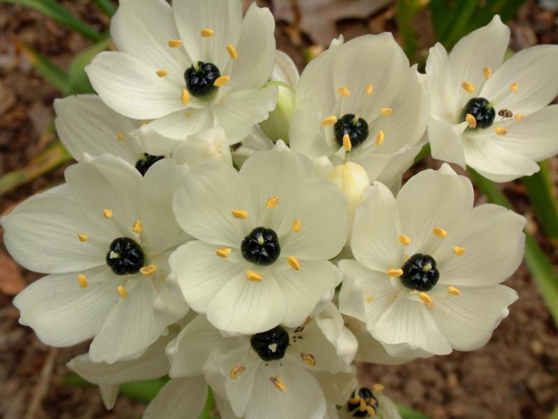 [fleursdiverses0018.jpg]