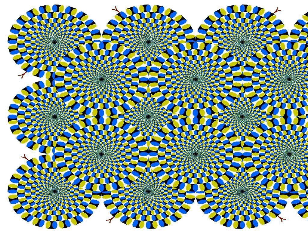 Seeing Things: Optical...