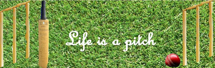 Life is a pitch