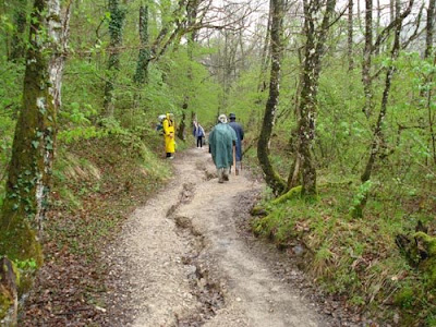 Peregrinos em contato direto com a natureza, em um dos muitos bosques cruzados no caminho. Foto: Dirce Bonfim