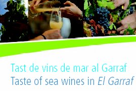 [tastvins.bmp]