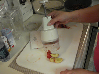 Plums going into the food chopper.