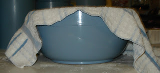 Cover bowl and let rise