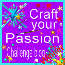 Craft Your Passion Winner