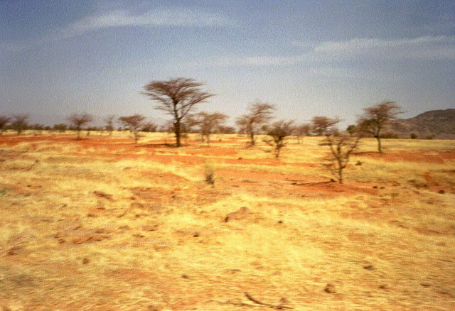 Savane%2520arride.jpg