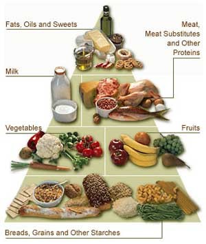 How Does A Food Pyramid Work?