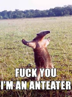 This was one of the top results from a Google Image Search for 'self important blogger'. Awesome!
