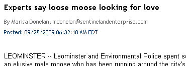 Goddammit, I don't have even a halfway-good joke to go here. Umm... he wanted to fuck a flying squirrel? Ha ha. Ugh.