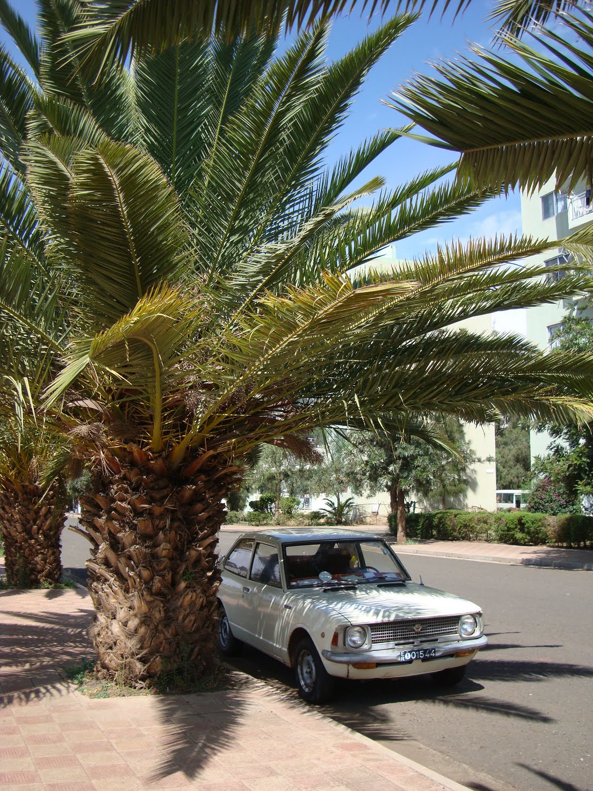 Travelogue - Destination Eritrea: Asmara – A Mosaic of WORLD Culture 