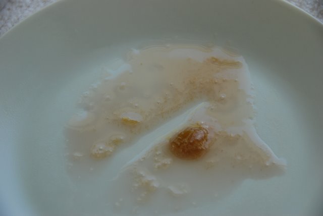[DSC_0090.jpg]