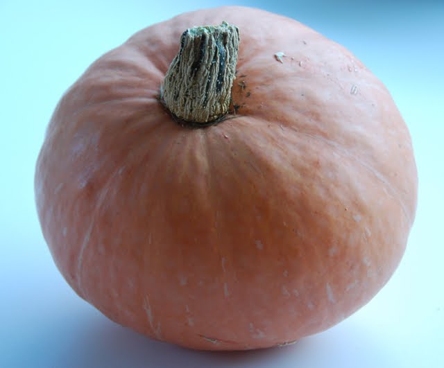 [pumpkin.jpg]