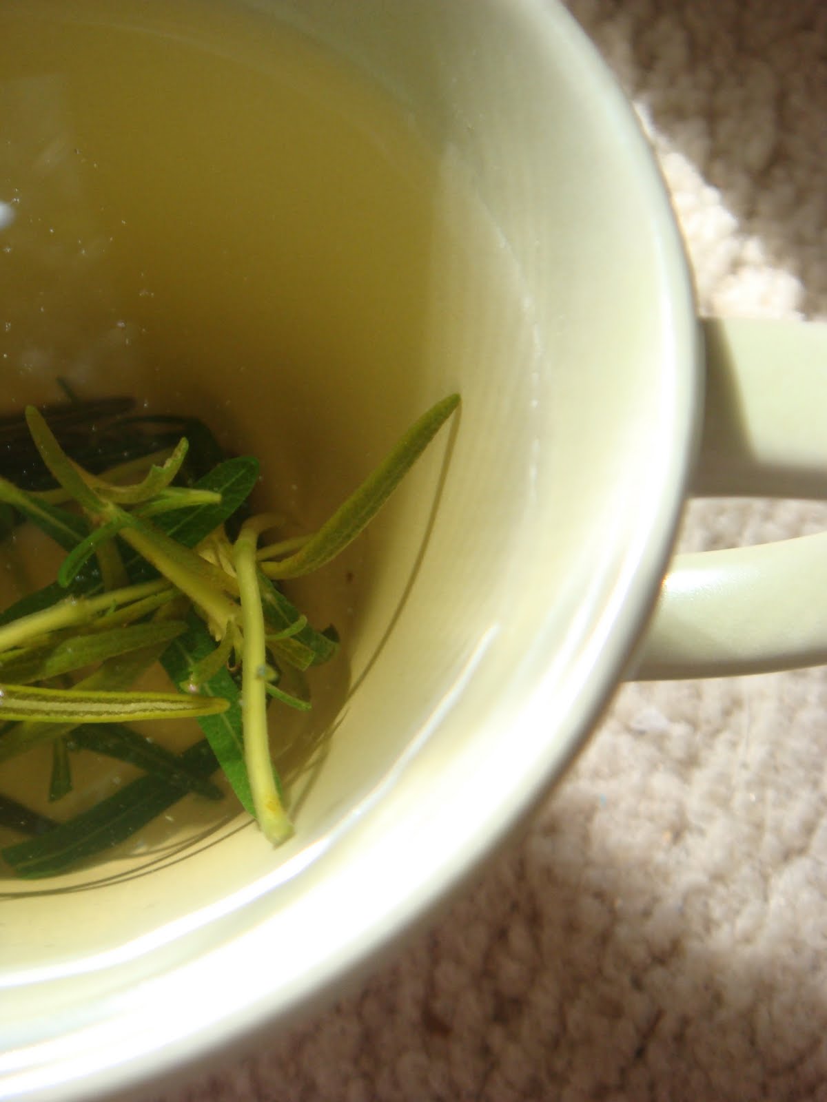 Rosemary Shampoo and Shower Gel